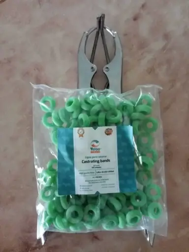 ELASTRADOR METÁLICO PARA CASTRAR